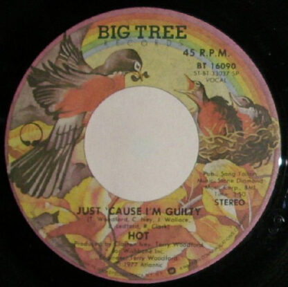 Hot ‎– Just 'Cause I'm Guilty / Angel en tus Brazos (7" US 1977)