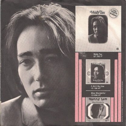 Wally Tax ‎– Evidently (7"si NL 1974) nm/nm- - Image 2