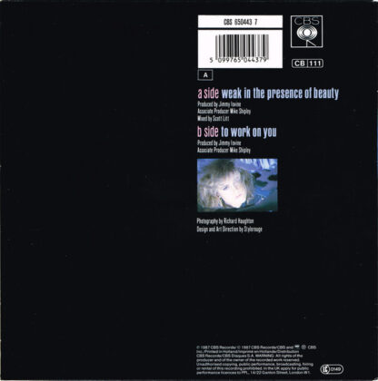 Alison Moyet ‎– Weak in the Presence of Beauty (7"si NL 1987) - Image 2