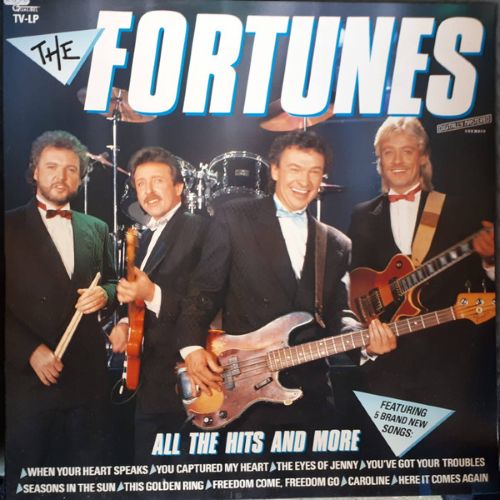 The Fortunes – All The Hits and More (LP NL 1987) nm/vg++