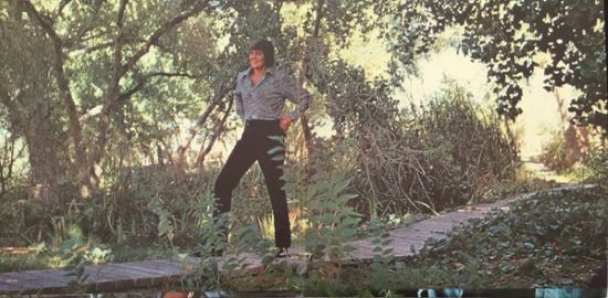 Wayne Newton – Can't You Hear the Song? (LP US 1972) nm/nm - Image 3